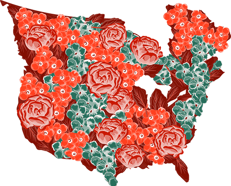 Lady A Map